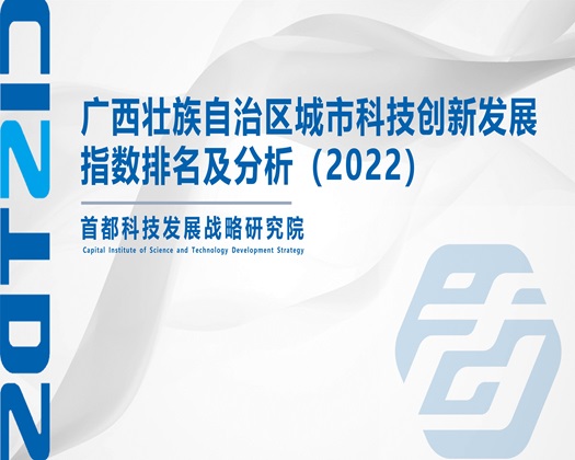 男人和女人操逼的视频【成果发布】广西壮族自治区城市科技创新发展指数排名及分析（2022）